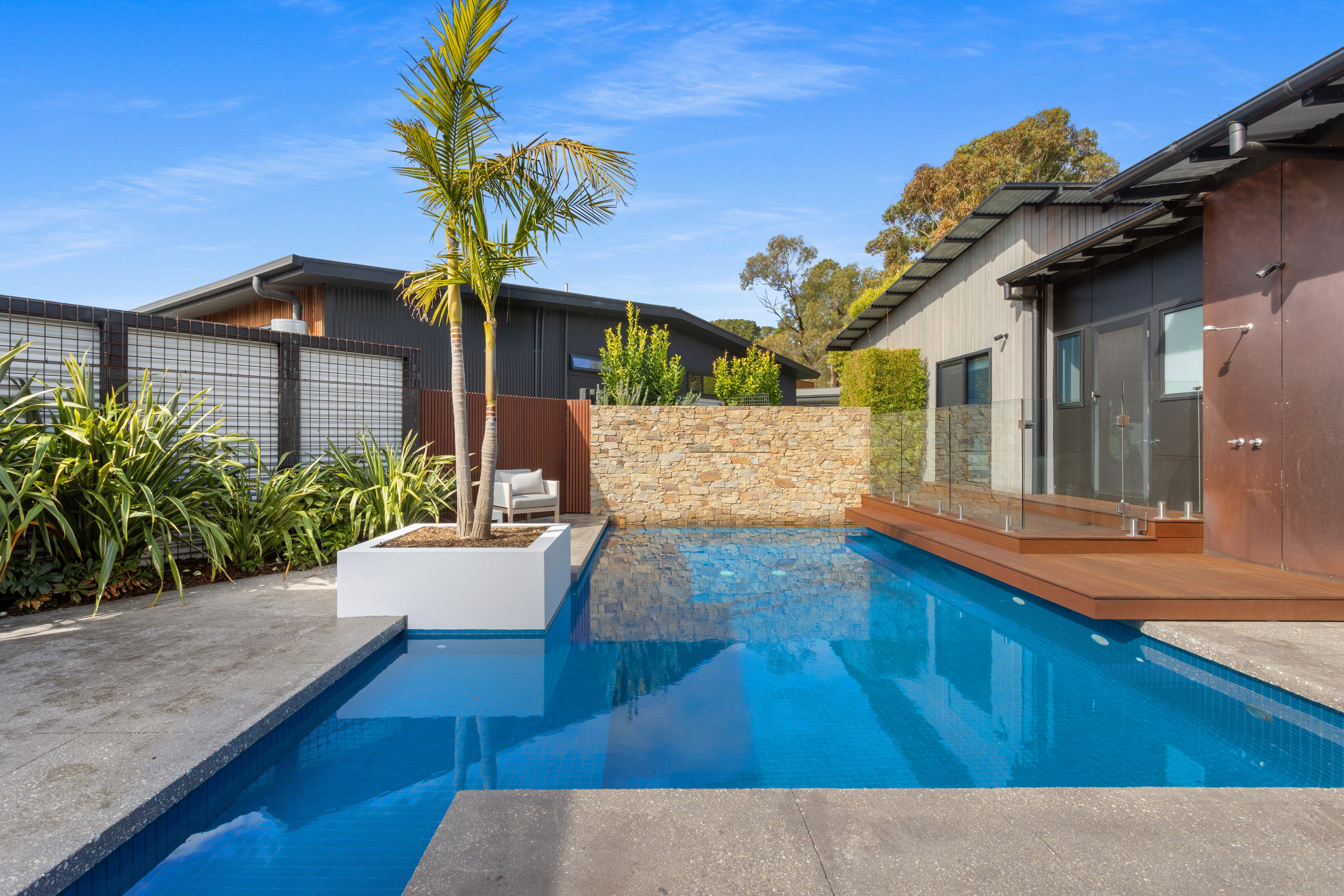 Blue pool and deck with palm tree